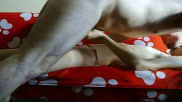 Bokep Indo ABG Bispak Nyewain Diri Servis Hot